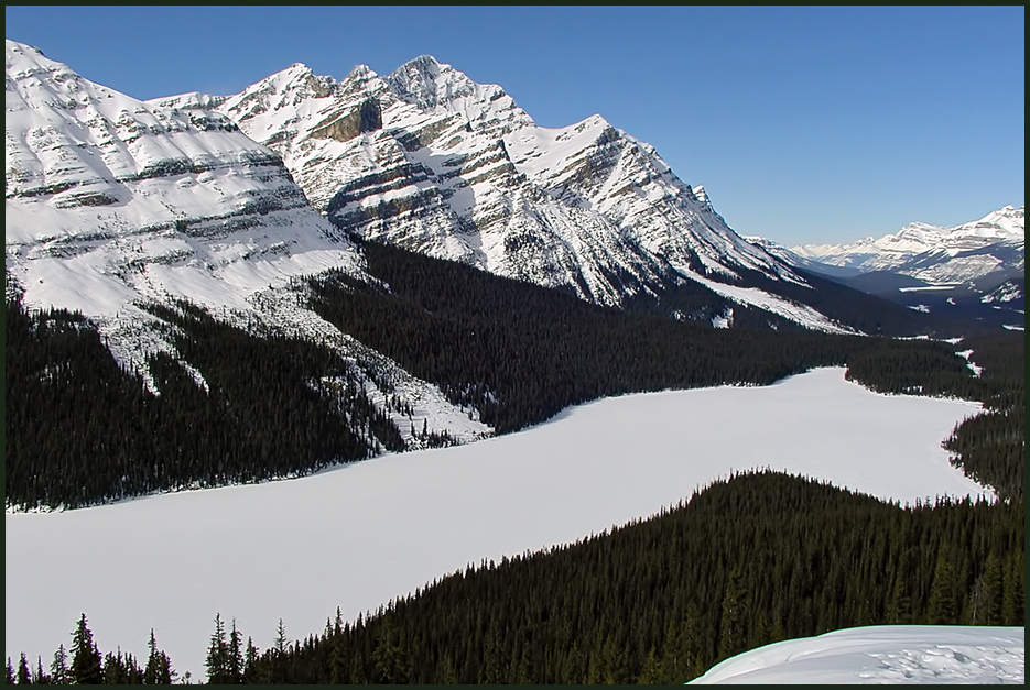 Peyto Lake