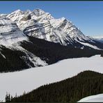 Peyto Lake