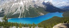 Peyto Lake: Faszination in Türkis