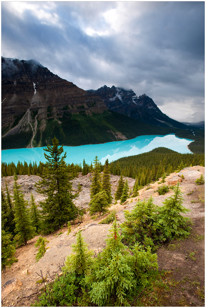 [ Peyto Lake ]