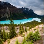 [ Peyto Lake ]