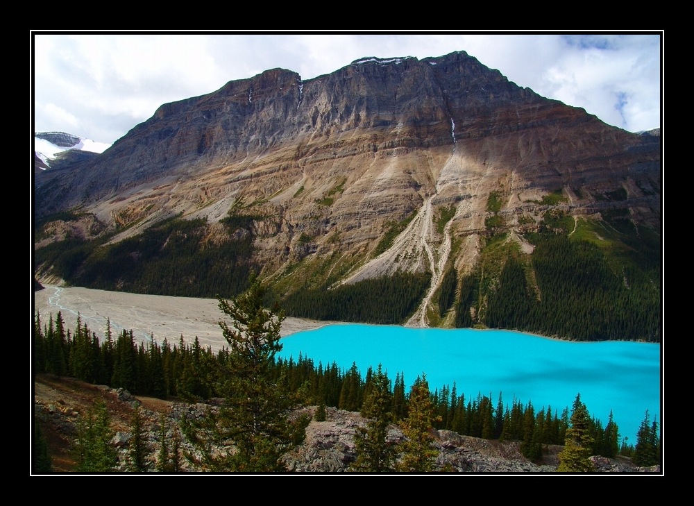 Peyto Lake II