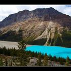 Peyto Lake II