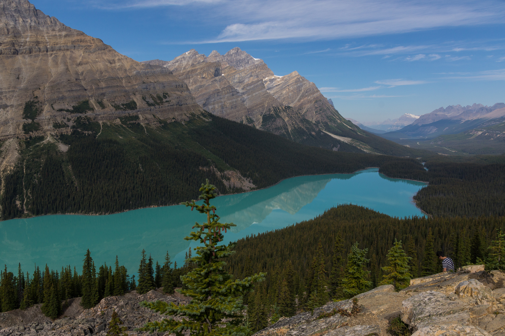 Peyto Lake, immer wieder eine sensationelle Farbe