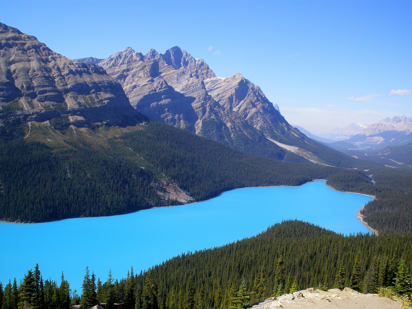 Peyto Lake in Alberta Kanada