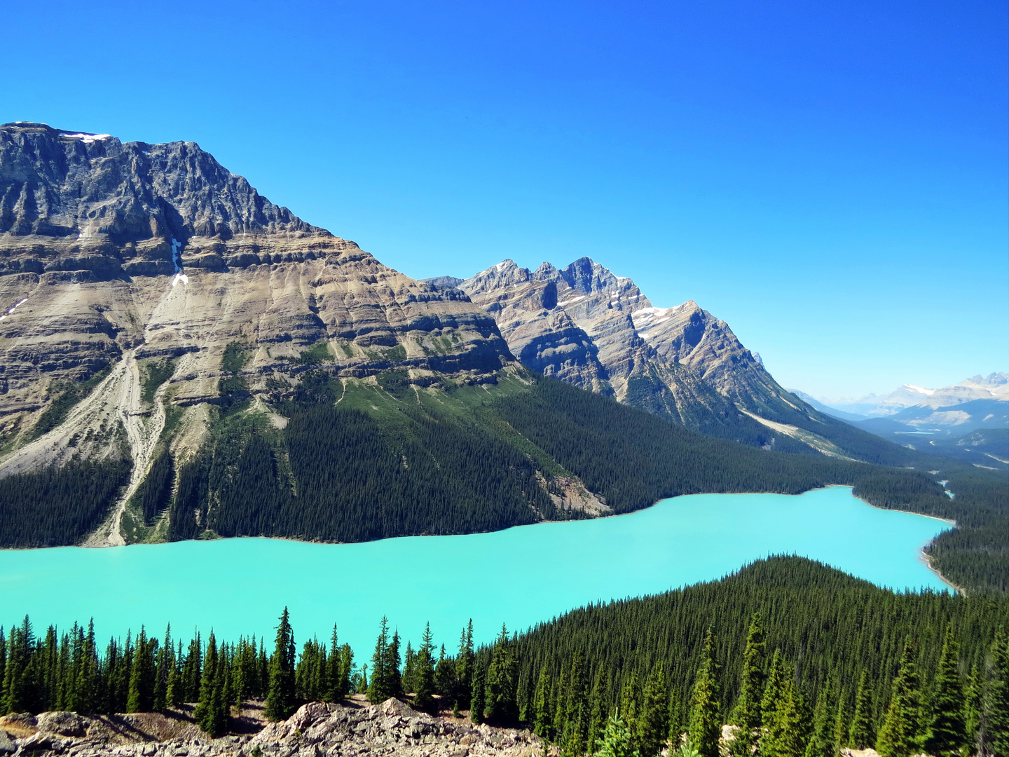 Peyto Lake Kanada