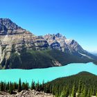 Peyto Lake Kanada