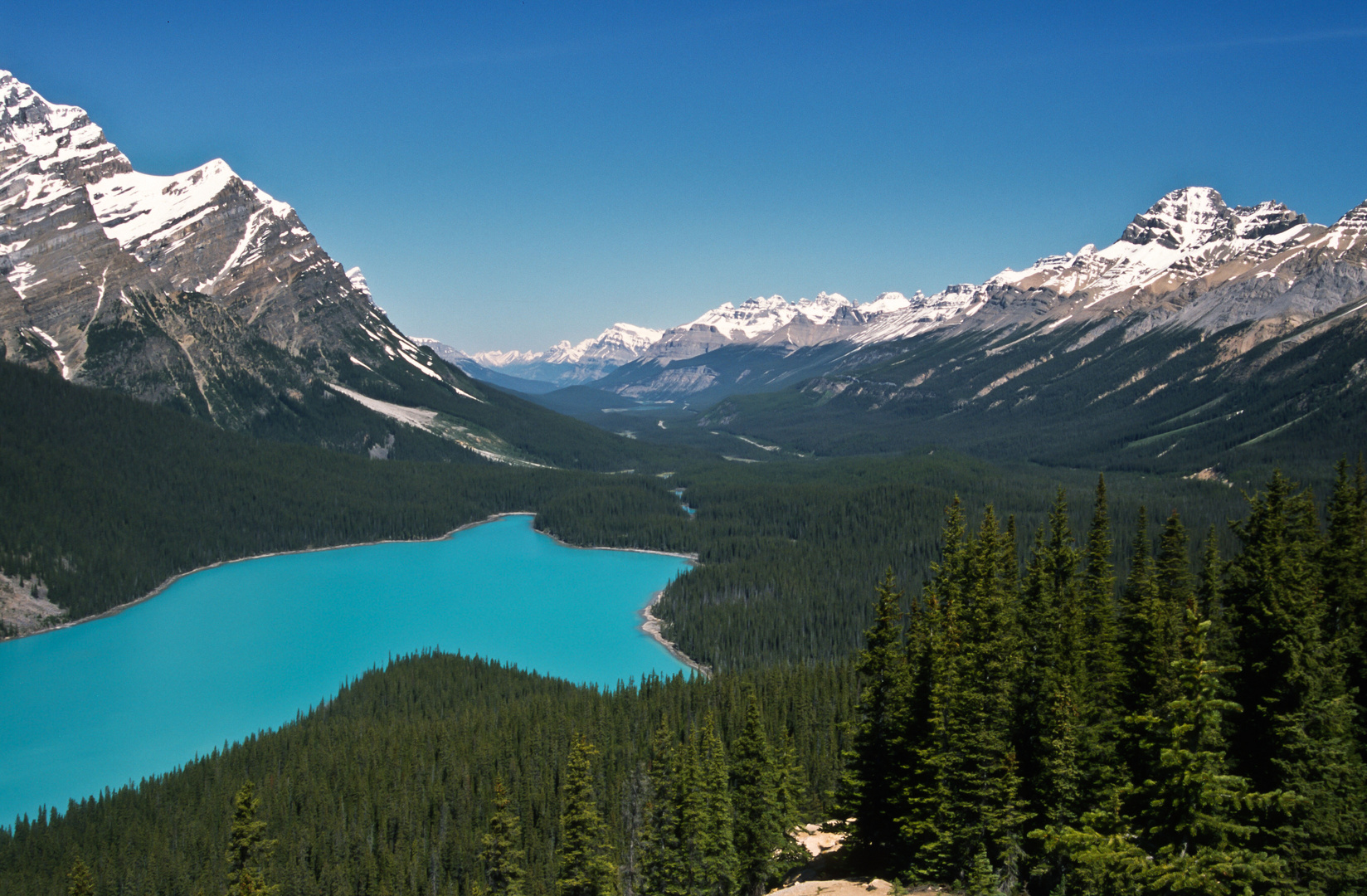 Peyto Lake Lookout, Banff NP, Canada