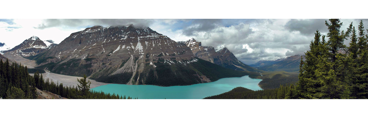 Peyto Lake Panorama