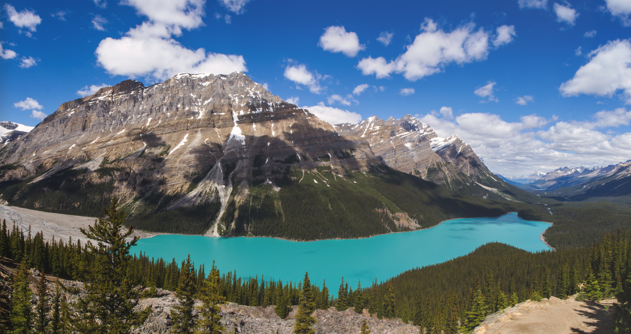 Peyto Lake Panorama