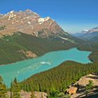 Peyto Lake  -  Rocky Mountains