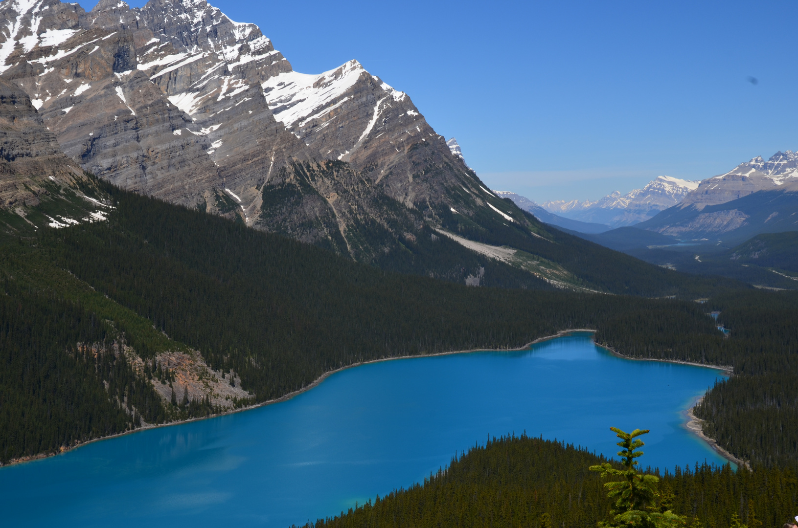 Peyto Lake Rocky Mountains