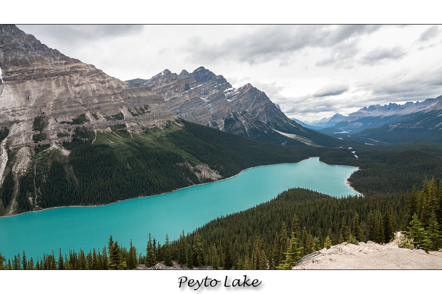 Peyto Lake - Rocky Mountains