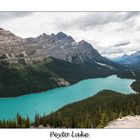 Peyto Lake - Rocky Mountains