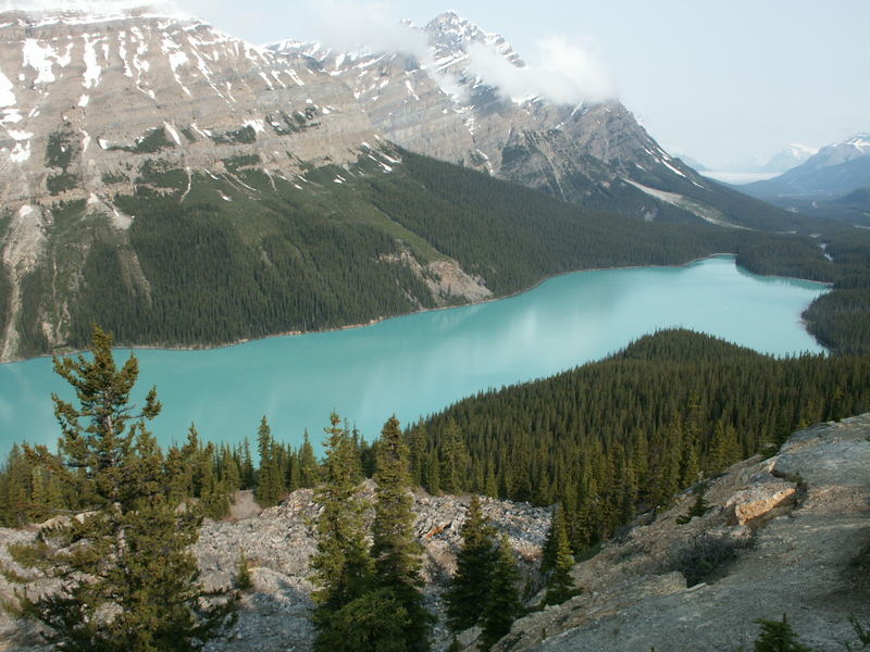 Peyto Lake Sommer 2004