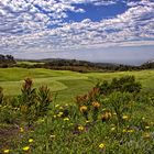 Pezula Golf in Knysna, Südafrika .....