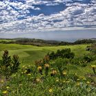 Pezula Golf Knysna in Südafrika .....