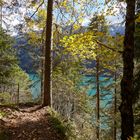 Pfad am Weissensee Ostufer