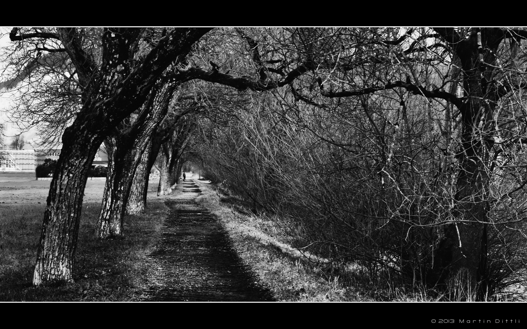 Pfad an der Sarner Aa in Sarnen OW / Schweiz