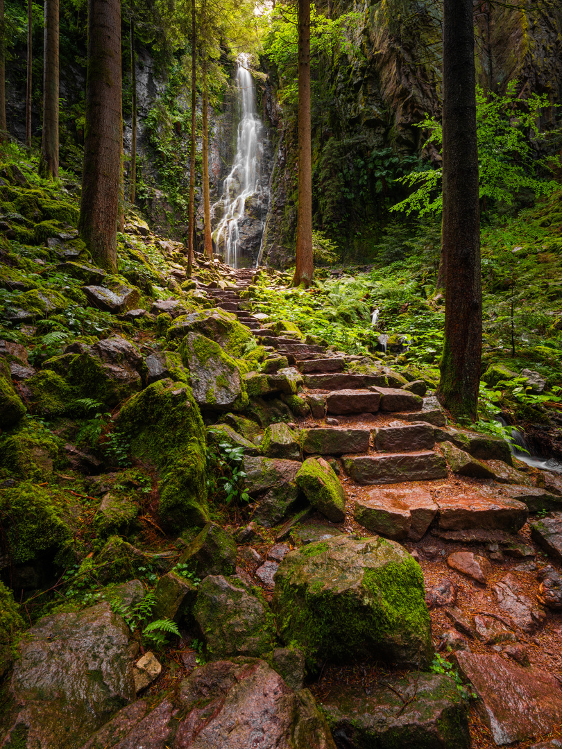 Pfad hoch zum Burgbachwasserfall