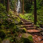 Pfad hoch zum Burgbachwasserfall