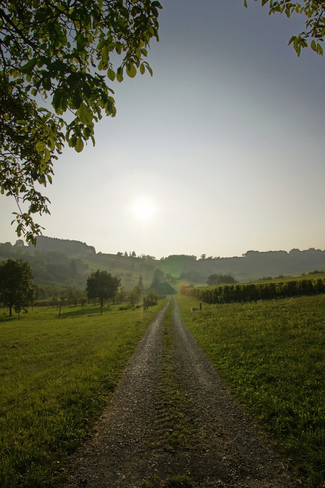 Pfad im Abendlicht