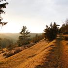 Pfad im Kiesental, Schwäbische Alb