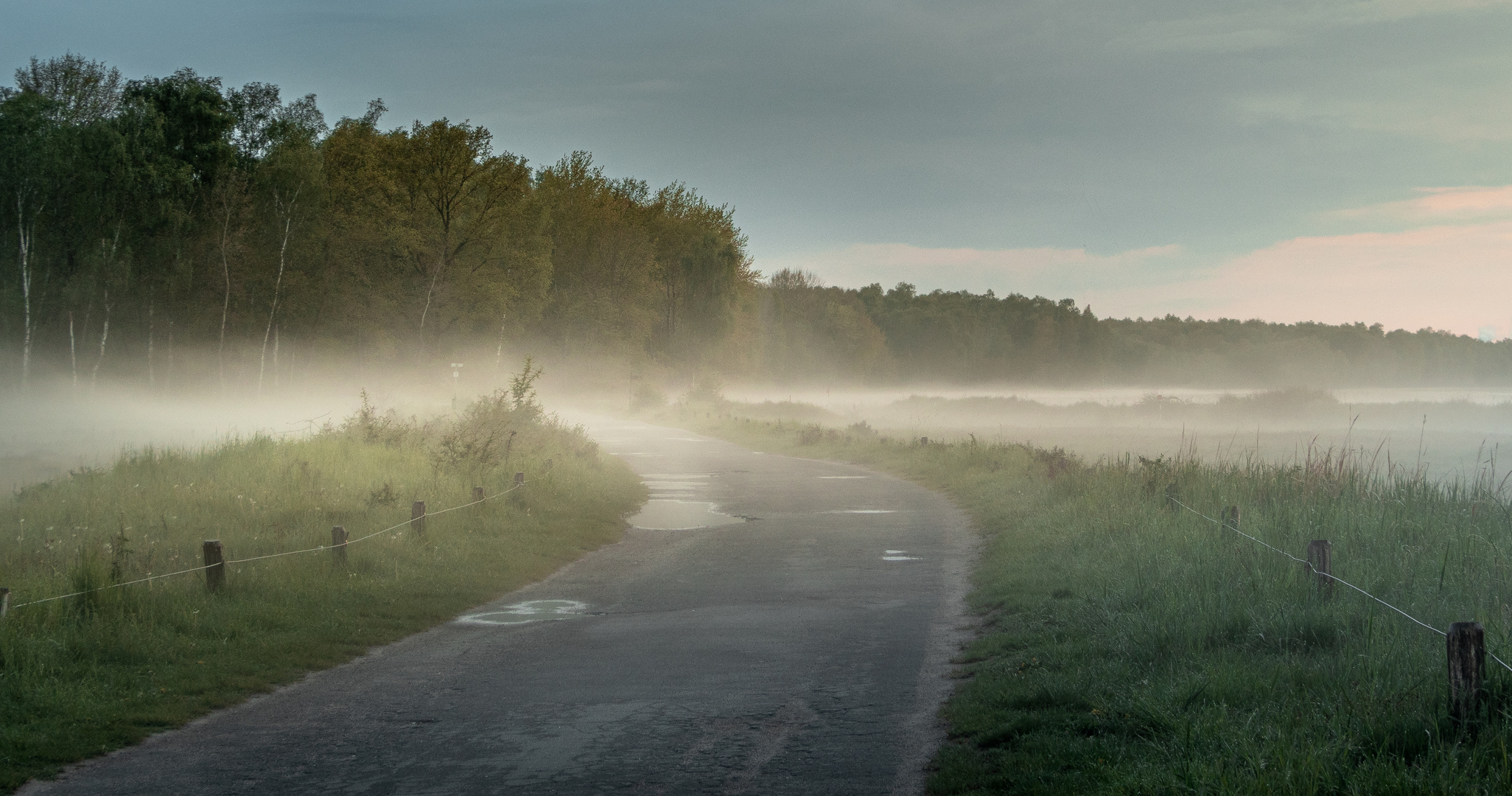 Pfad in den Nebel