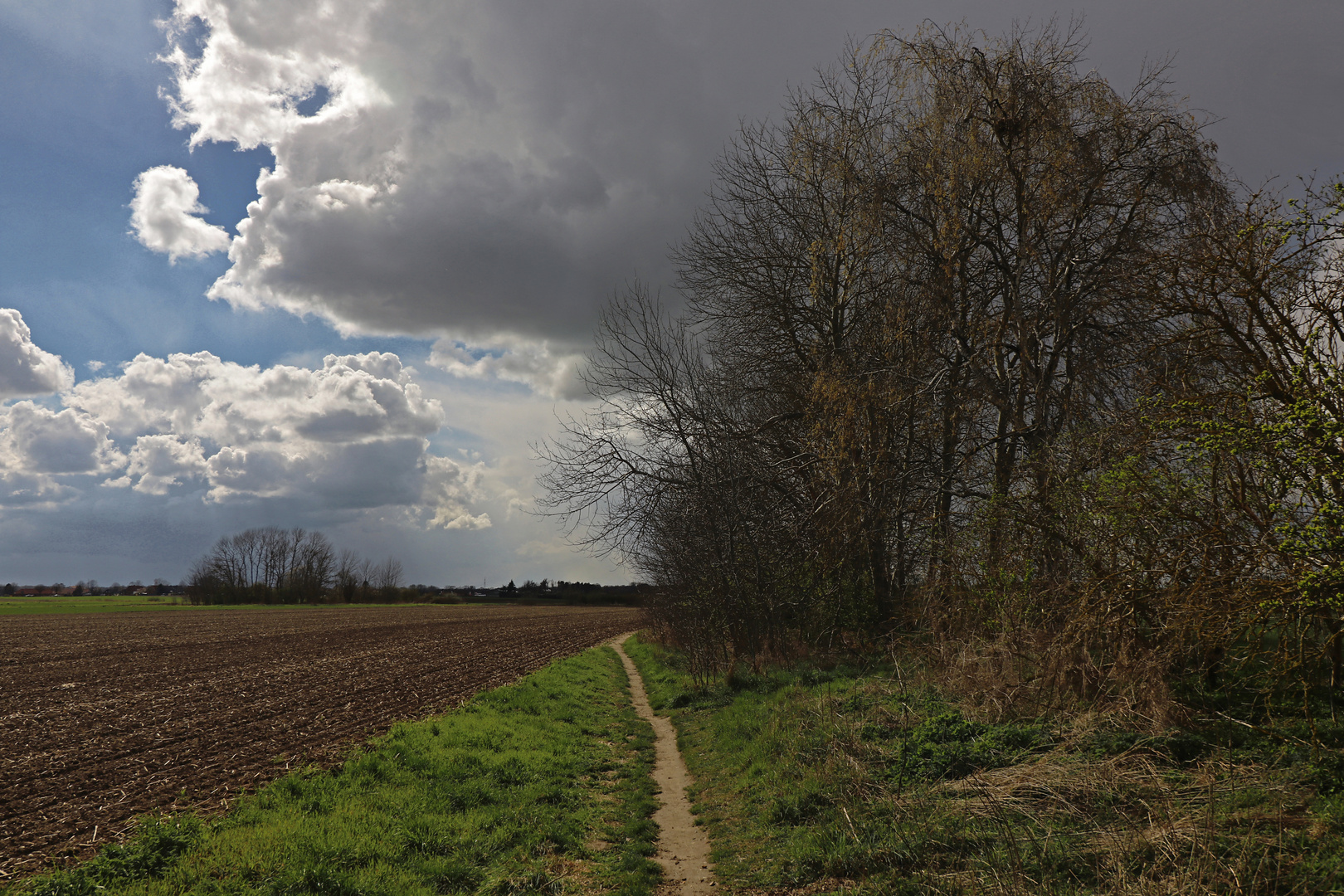 Pfad unter Regenwolken