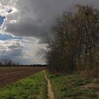 Pfad unter Regenwolken