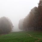 Pfade im Nebel