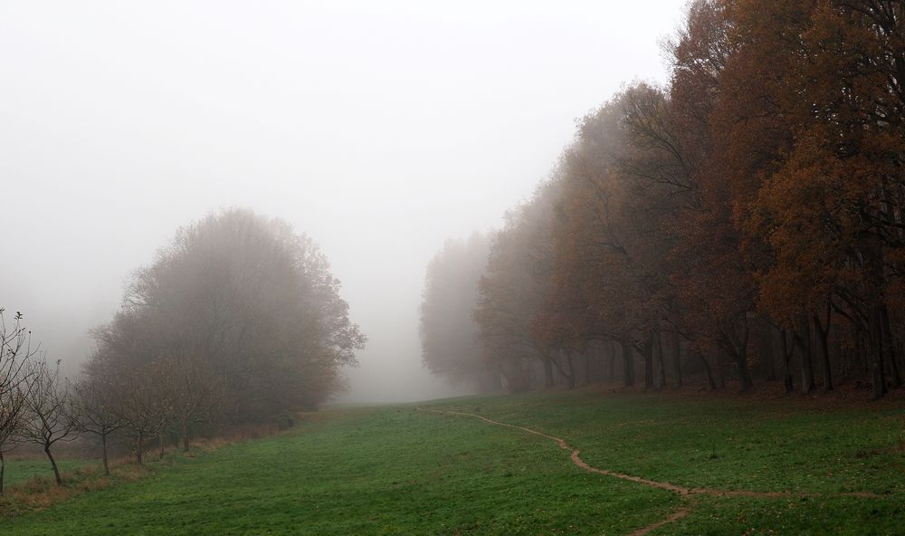 Pfade im Nebel