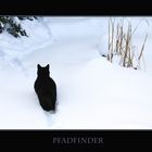 Pfadfinder