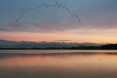 Pfäffiker Sunset