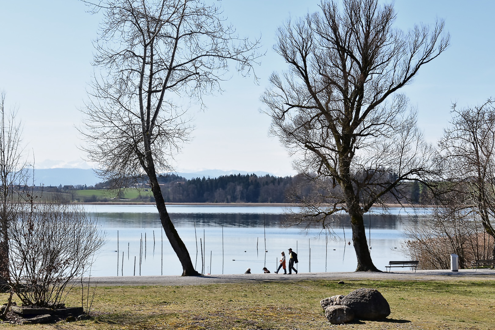 Pfäffikersee