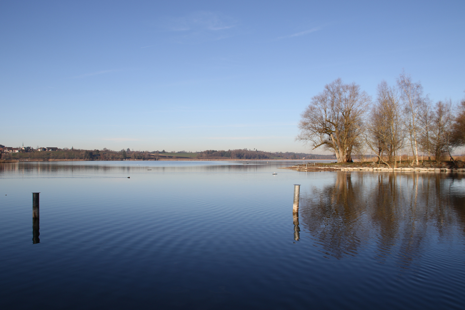 Pfäffikersee