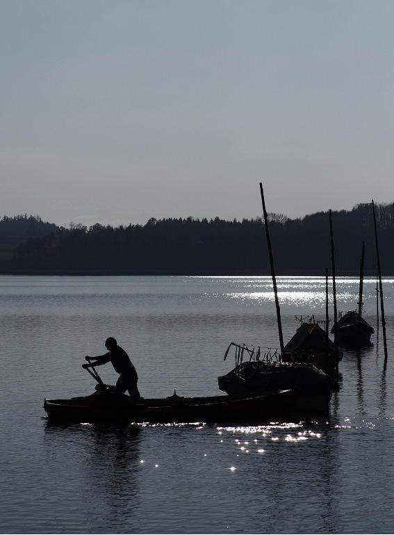 Pfäffikersee