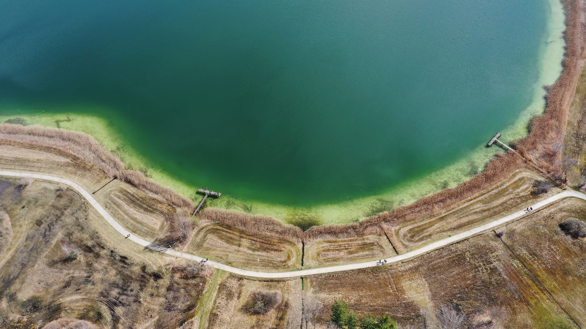 Pfäffikersee