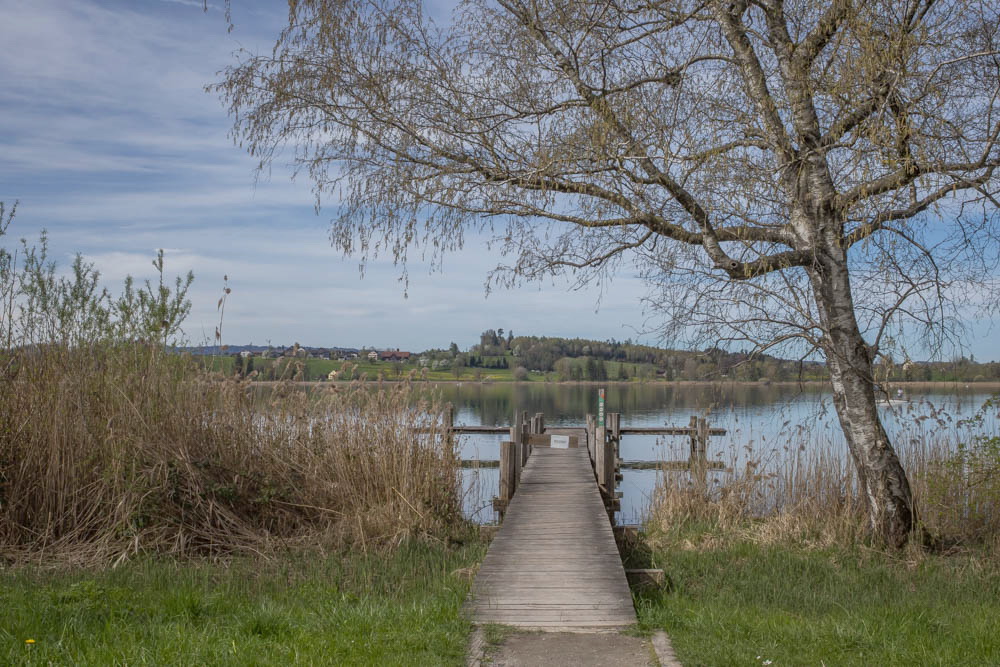 Pfäffikersee