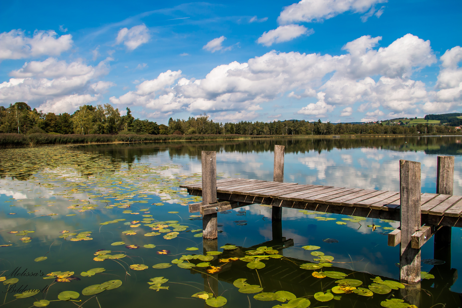 Pfäffikersee