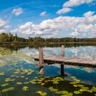 Pfäffikersee