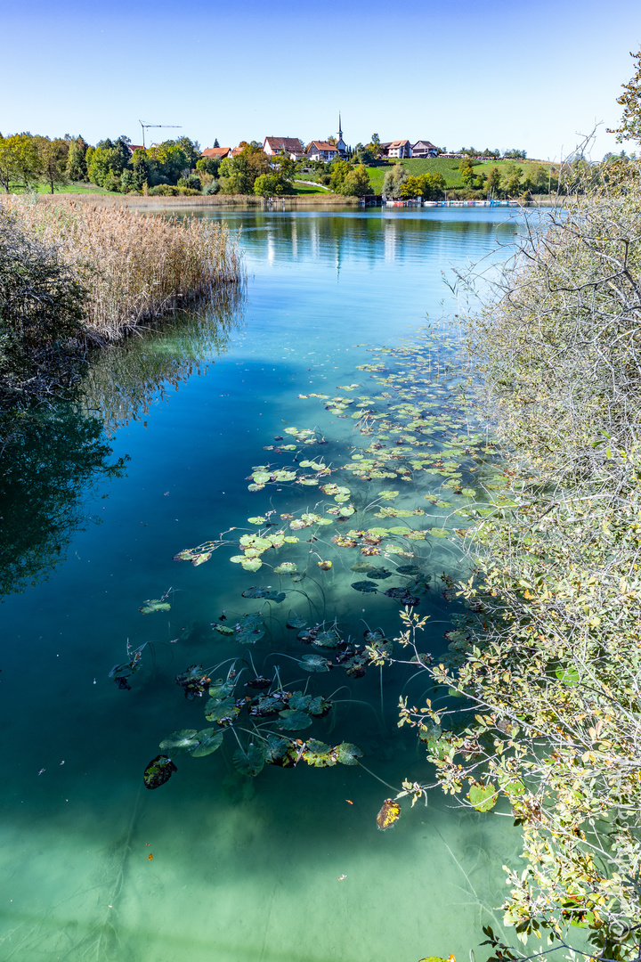 Pfäffikersee