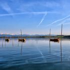 Pfäffikersee Idylle