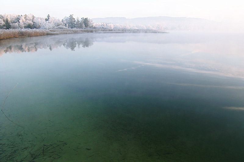 Pfäffikersee II