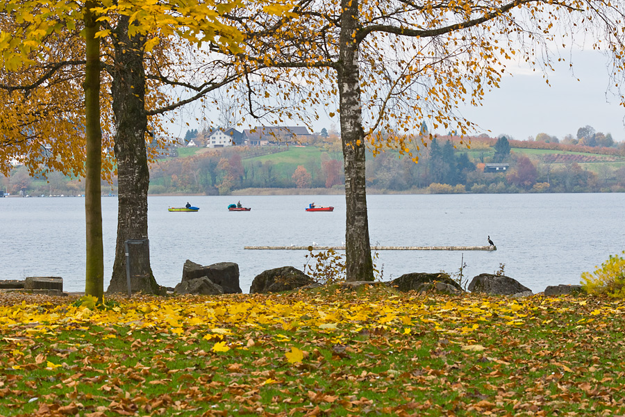 Pfäffikersee II