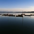 Pfäffikersee im Abendlicht