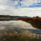 Pfäffikersee im Oktober