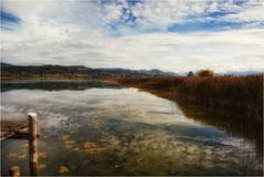 Pfäffikersee im Oktober