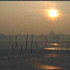 Pfäffikersee im Winter 2006