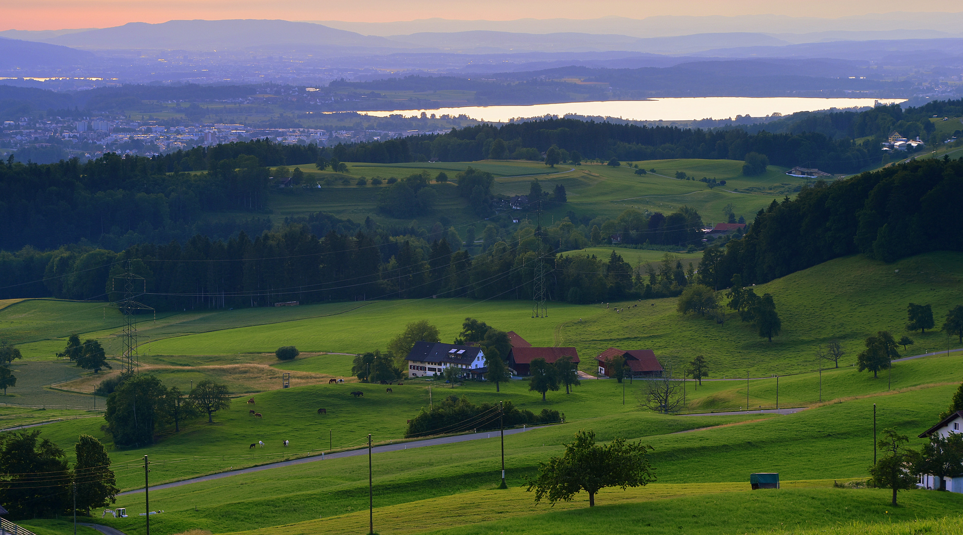 Pfäffikersee von oben